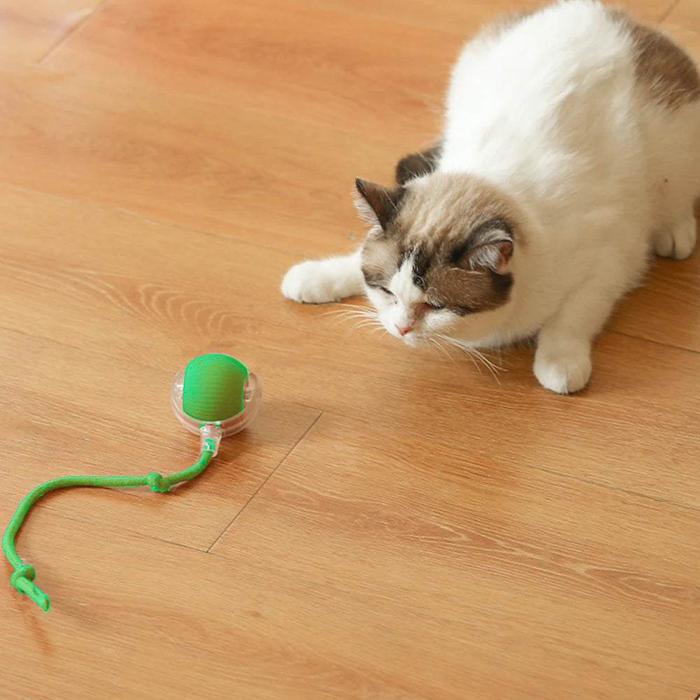 2PC/1PC Cat Interactive Ball Toys Automatic Rolling Ball Rechargeable Self Rotating Ball Fast Rolling Ball for Indoor Cat Kitten